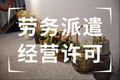 人力劳务许可证